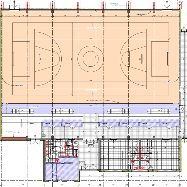 Architectural, functional upgrading of the Riccoboni Rovigo gymnasium